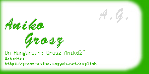 aniko grosz business card